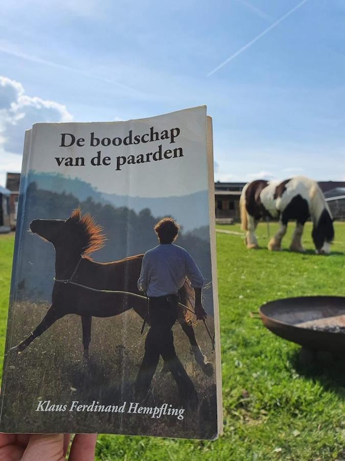 Houten Huisje Tussen Paarden Nieuwerkerken 外观 照片